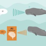 istockphoto-1462205351-612x612